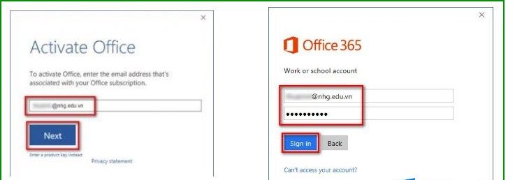 office365